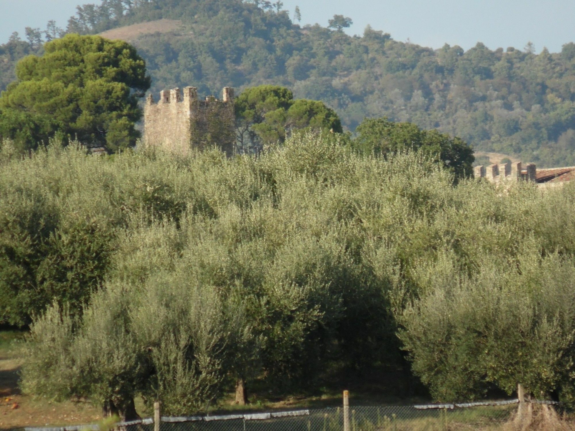 Podere Caldaruccio La Pineta Perugia Eksteriør billede