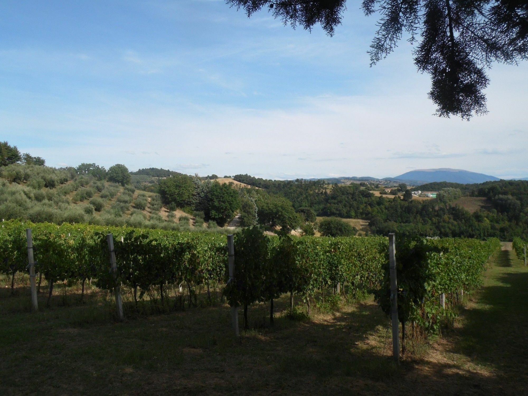 Podere Caldaruccio La Pineta Perugia Eksteriør billede